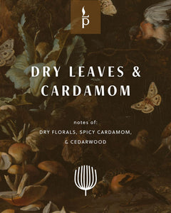 Dry Leaves & Cardamom - Light Provisions - Candle